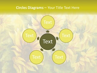 Oil Painting Sunflowers PowerPoint Template