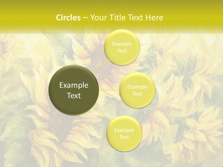 Oil Painting Sunflowers PowerPoint Template