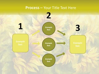 Oil Painting Sunflowers PowerPoint Template