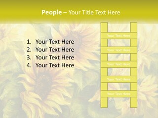 Oil Painting Sunflowers PowerPoint Template