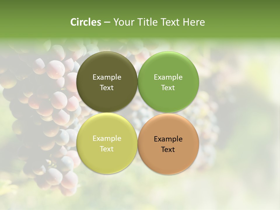 Grape Bush PowerPoint Template