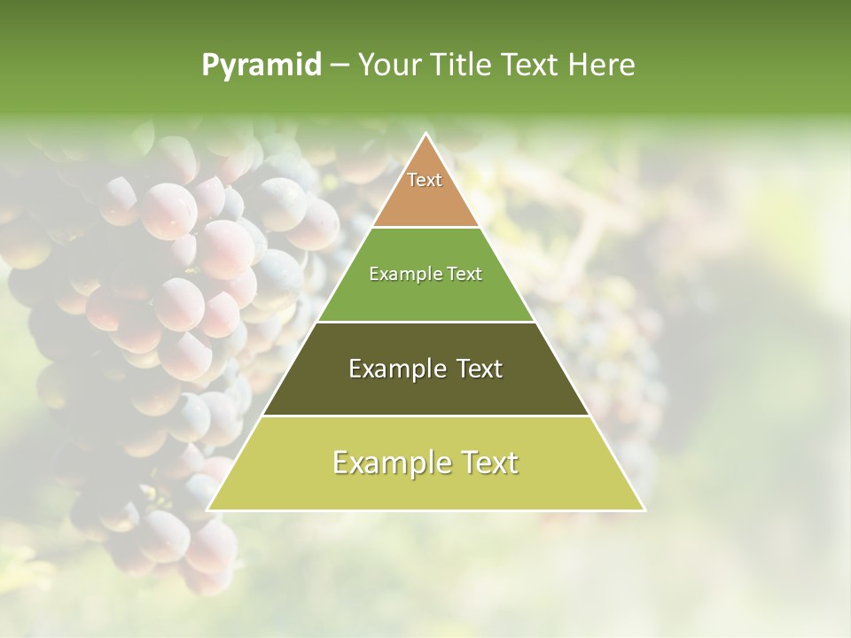 Grape Bush PowerPoint Template