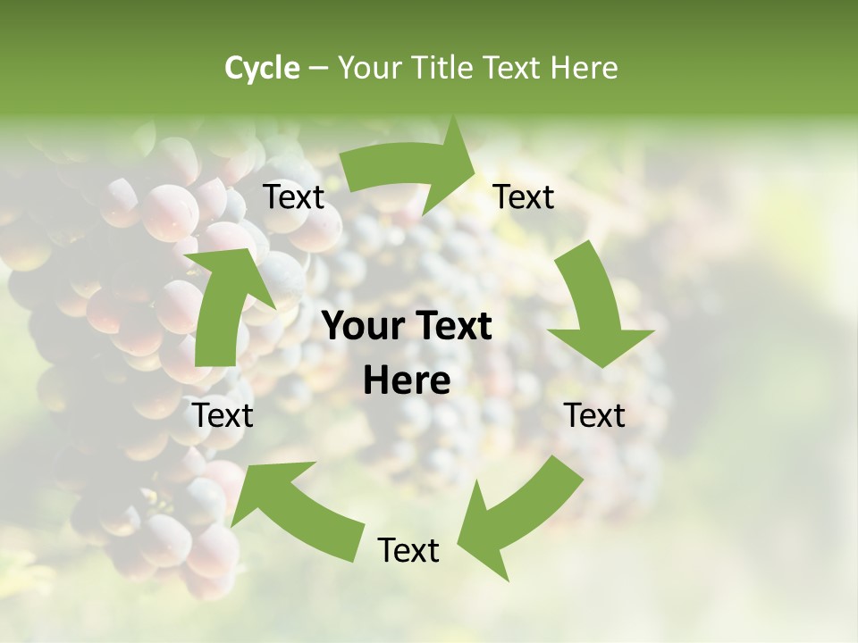 Grape Bush PowerPoint Template