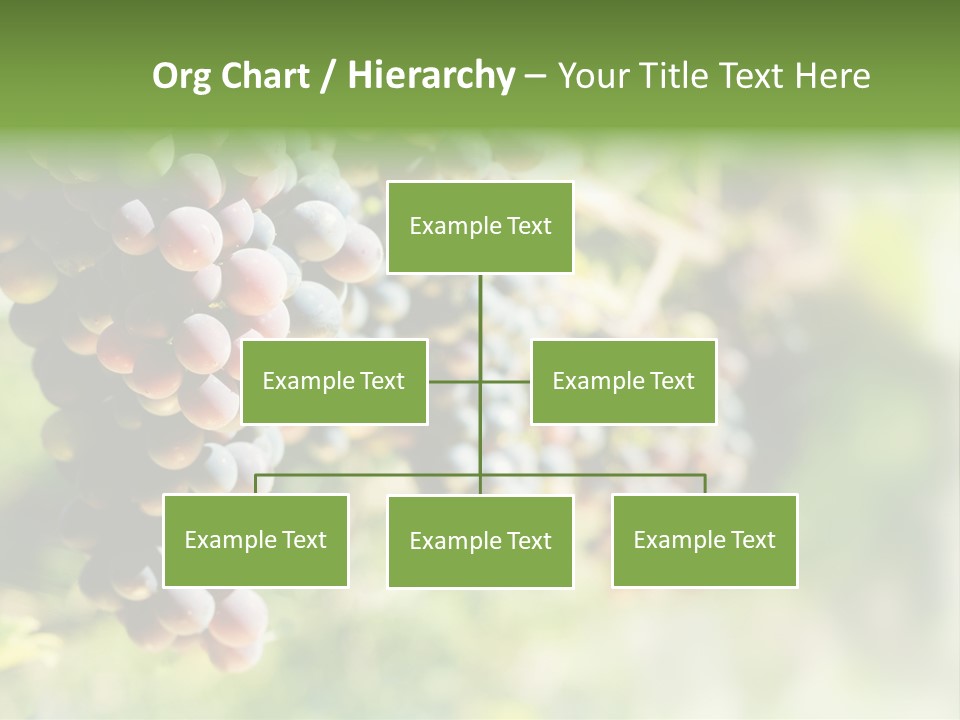 Grape Bush PowerPoint Template