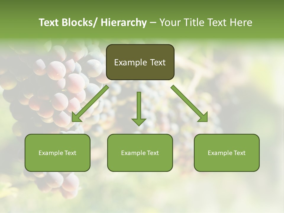 Grape Bush PowerPoint Template