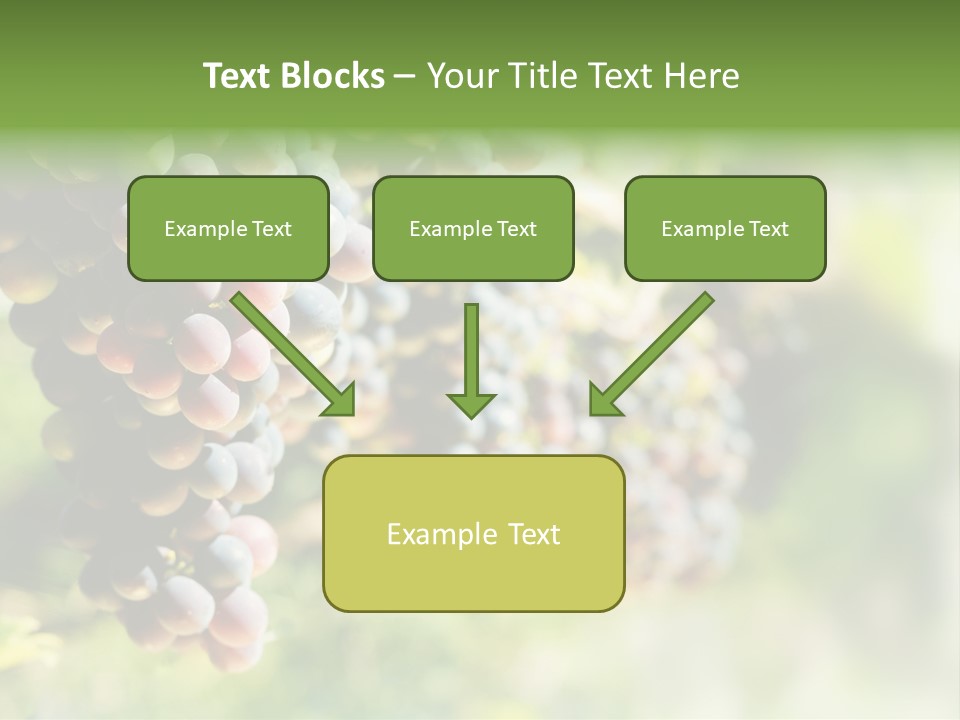 Grape Bush PowerPoint Template