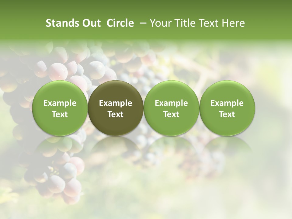 Grape Bush PowerPoint Template