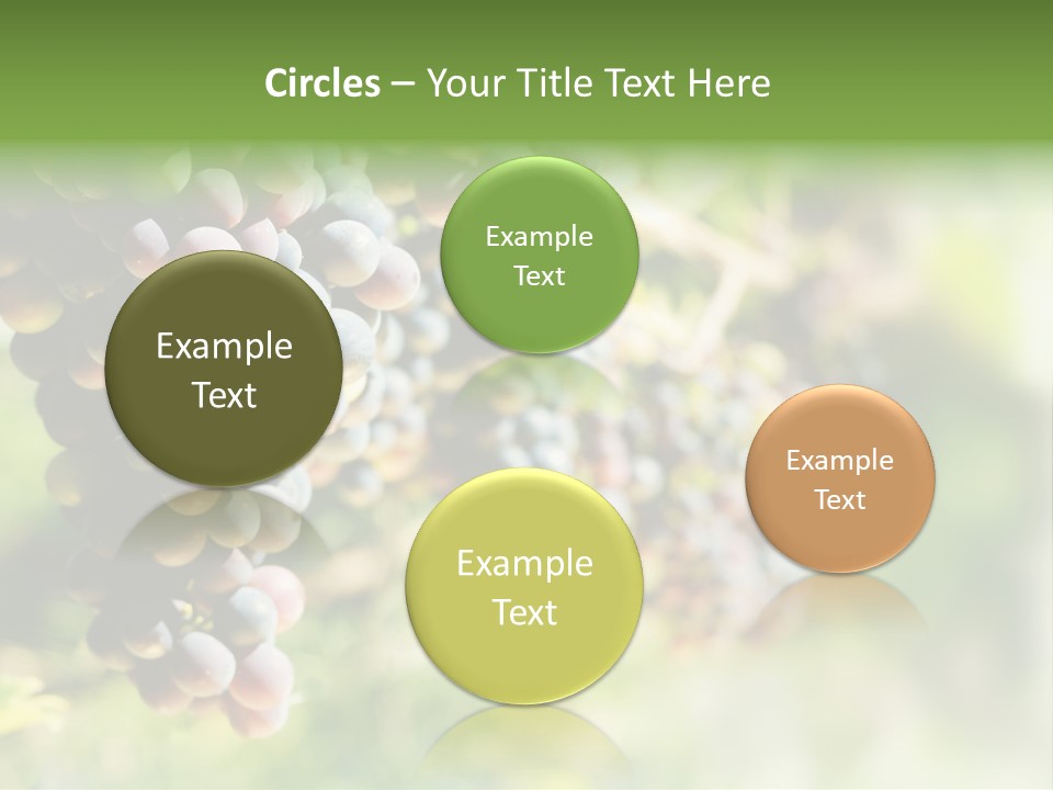 Grape Bush PowerPoint Template