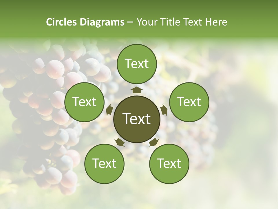 Grape Bush PowerPoint Template