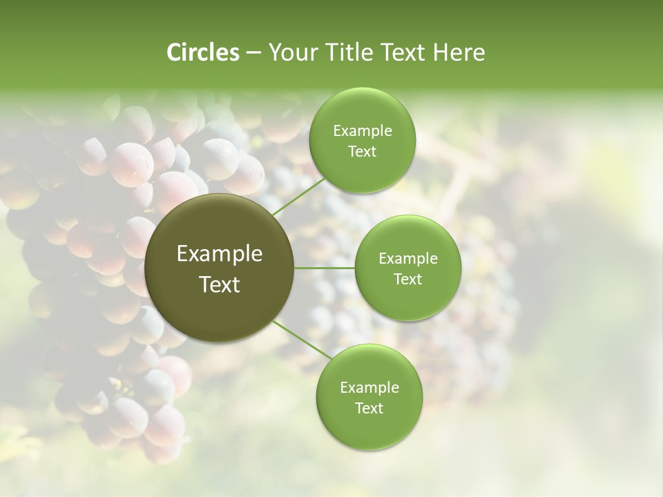 Grape Bush PowerPoint Template
