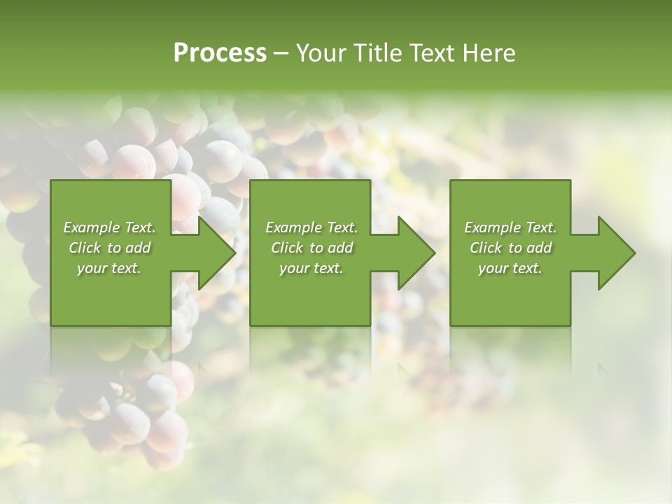 Grape Bush PowerPoint Template