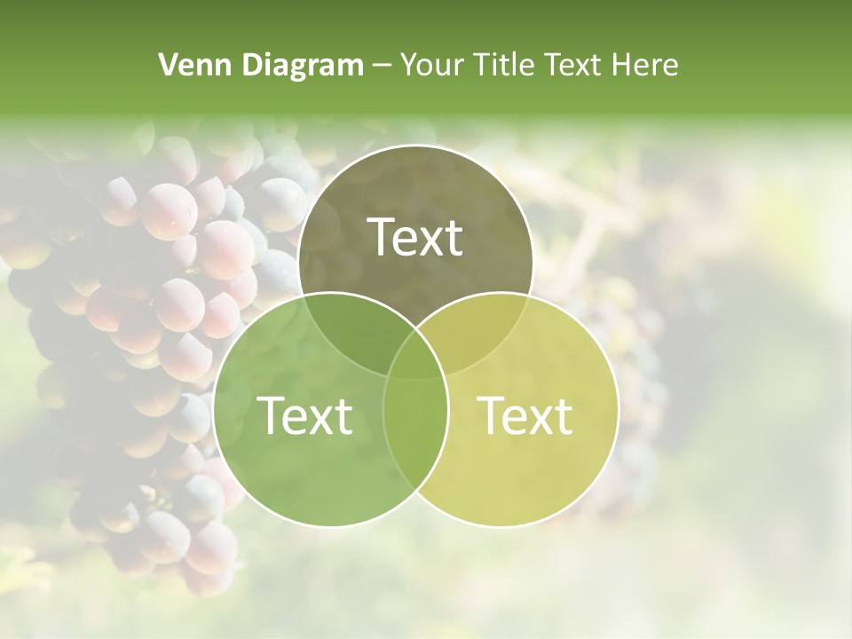 Grape Bush PowerPoint Template