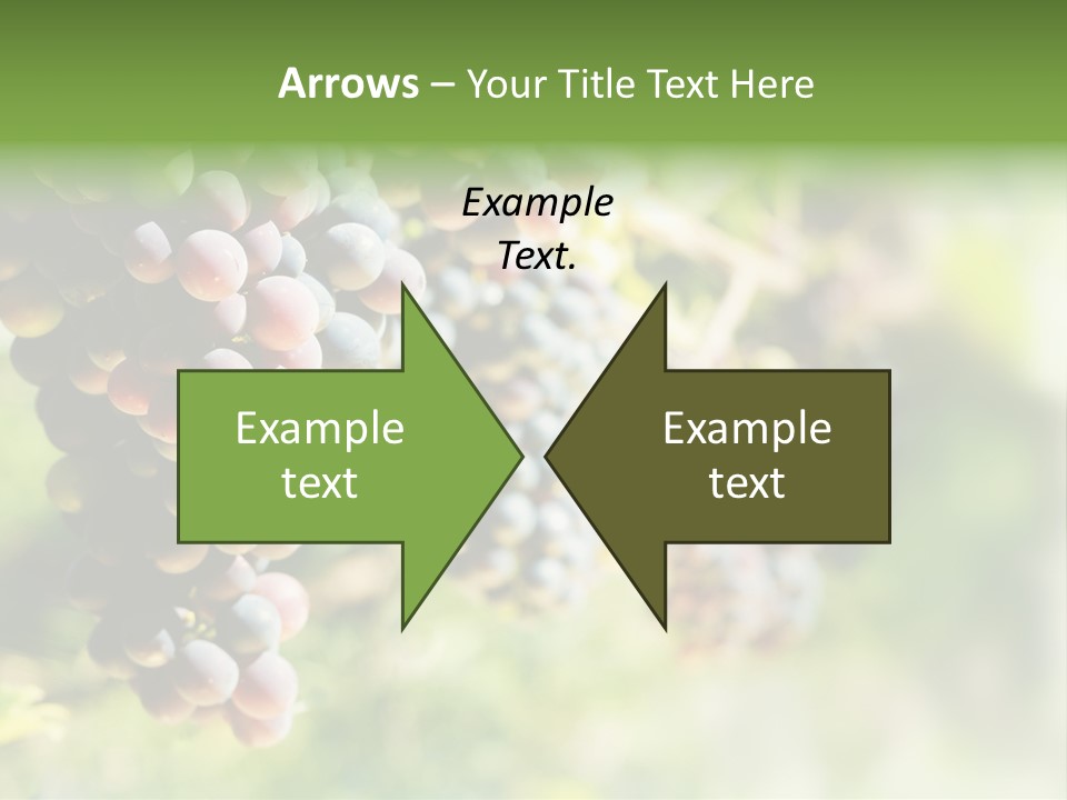 Grape Bush PowerPoint Template