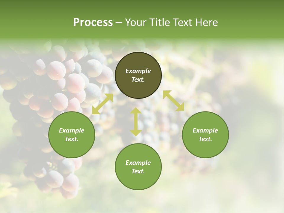 Grape Bush PowerPoint Template