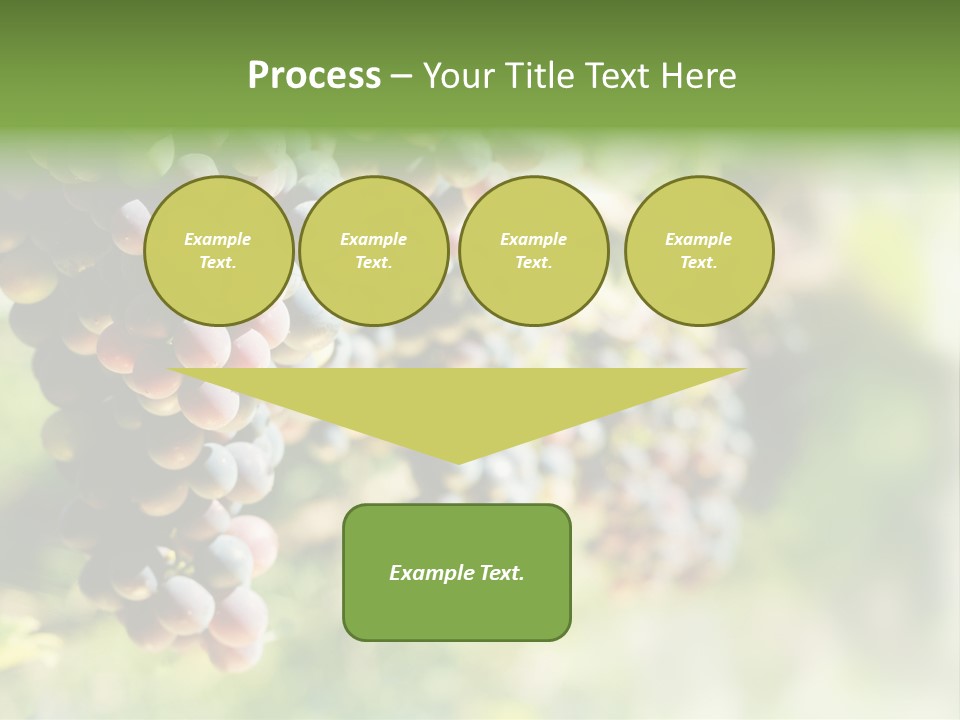 Grape Bush PowerPoint Template