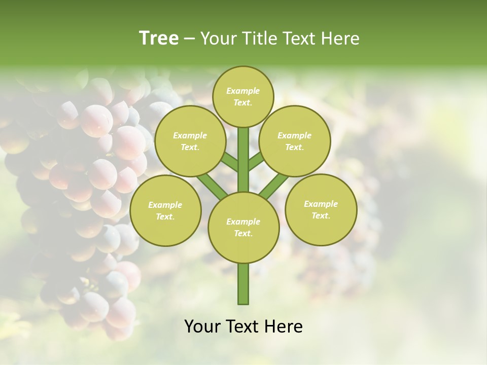 Grape Bush PowerPoint Template