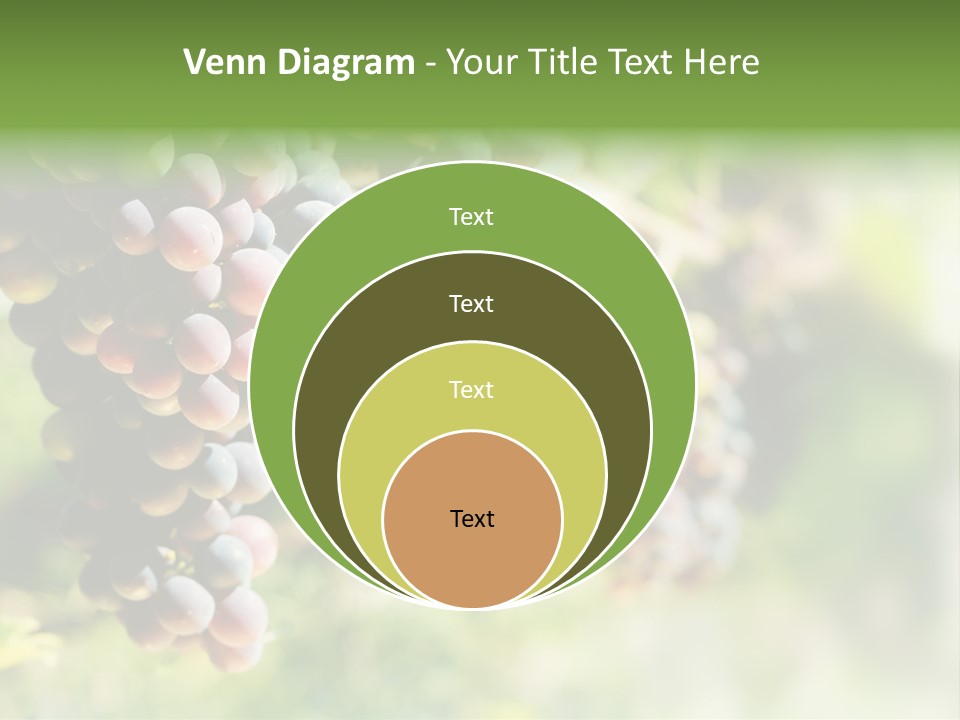 Grape Bush PowerPoint Template