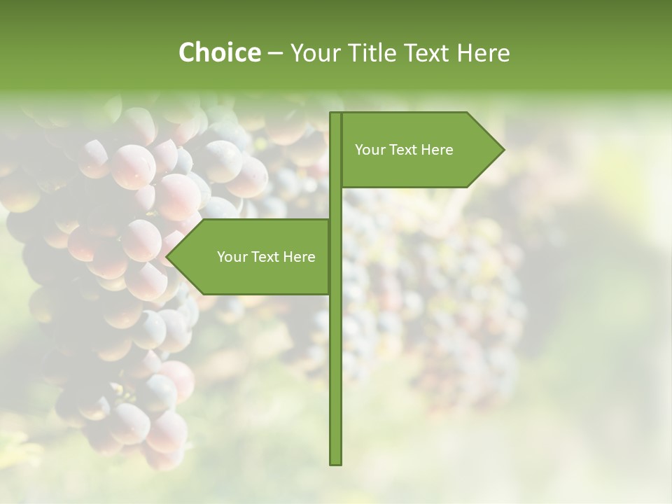 Grape Bush PowerPoint Template