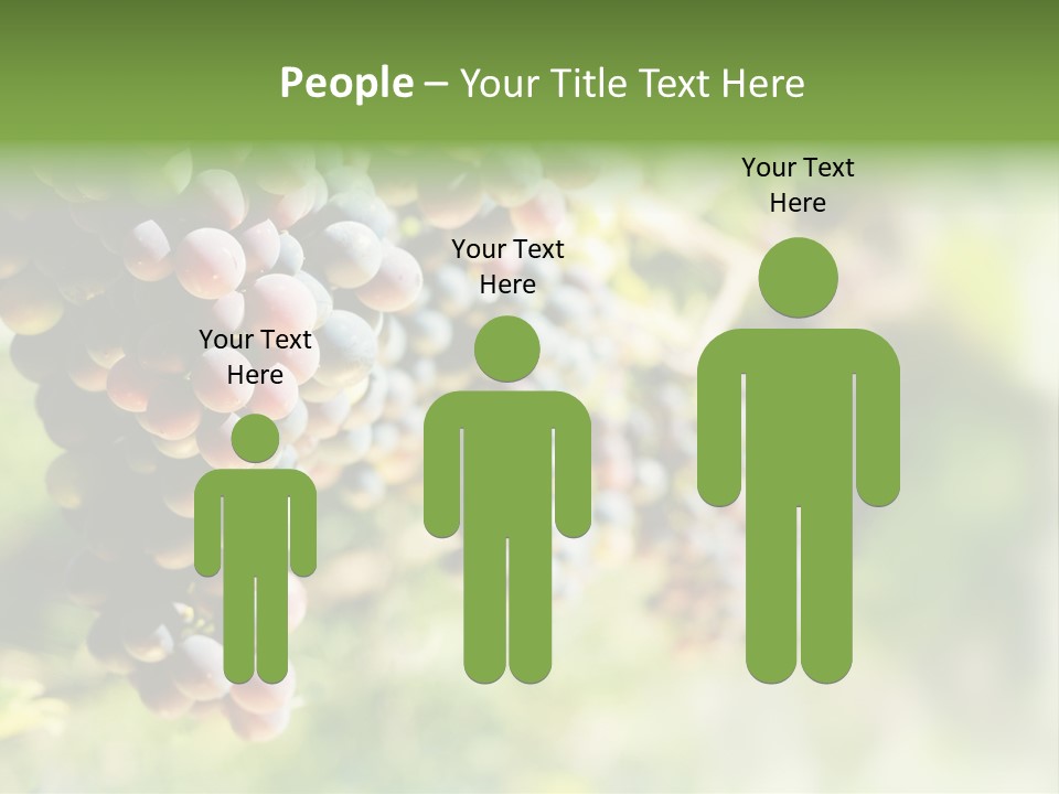 Grape Bush PowerPoint Template