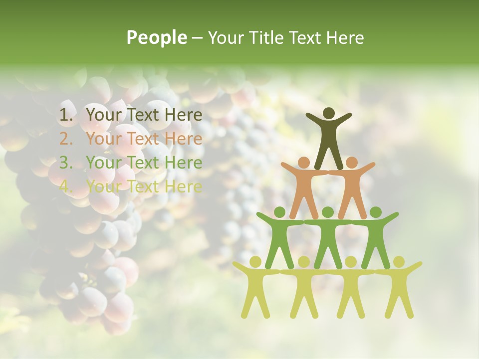 Grape Bush PowerPoint Template