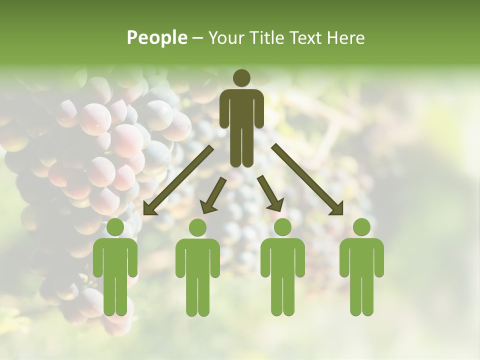 Grape Bush PowerPoint Template