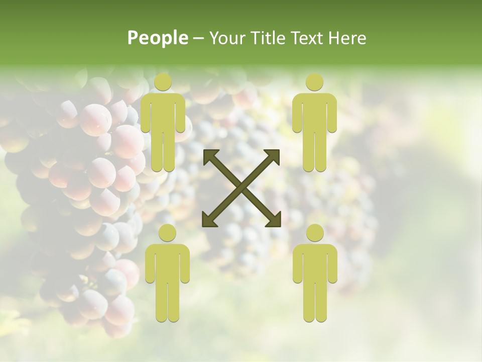 Grape Bush PowerPoint Template