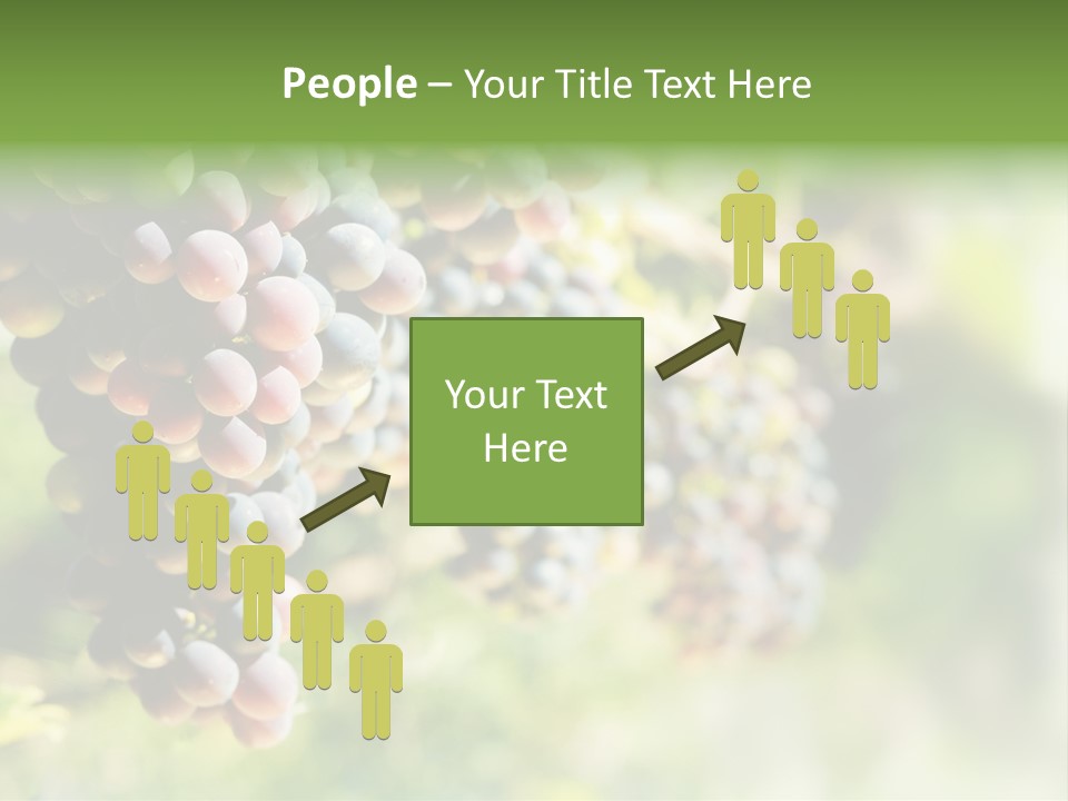 Grape Bush PowerPoint Template