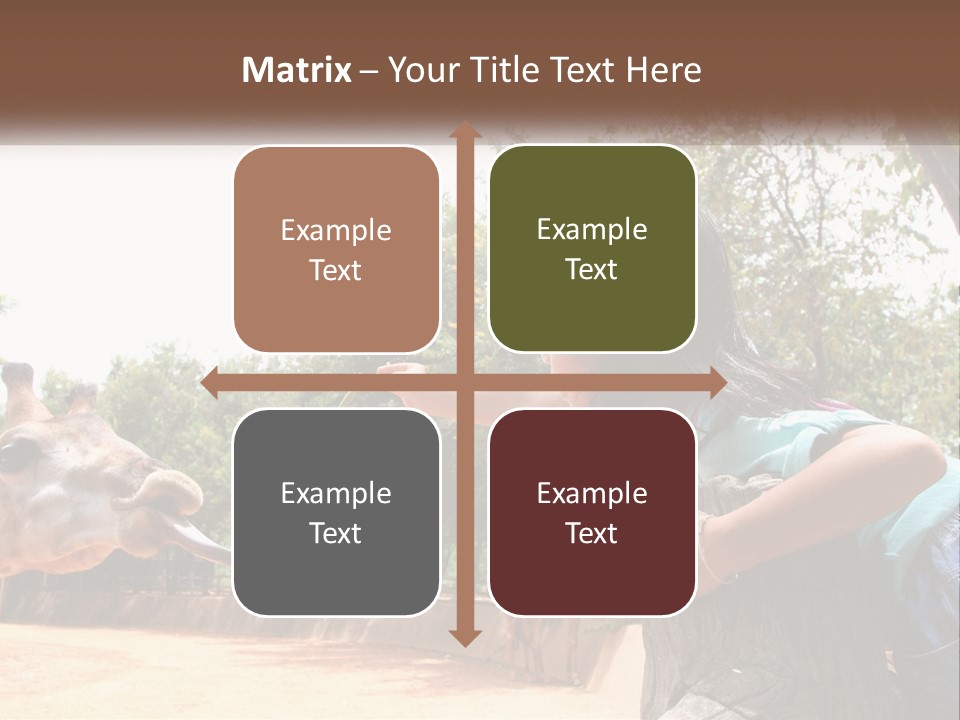 Girl Feeding A Giraffe PowerPoint Template