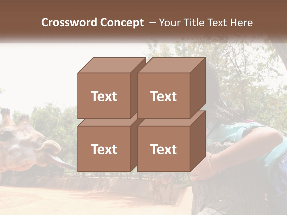 Girl Feeding A Giraffe PowerPoint Template