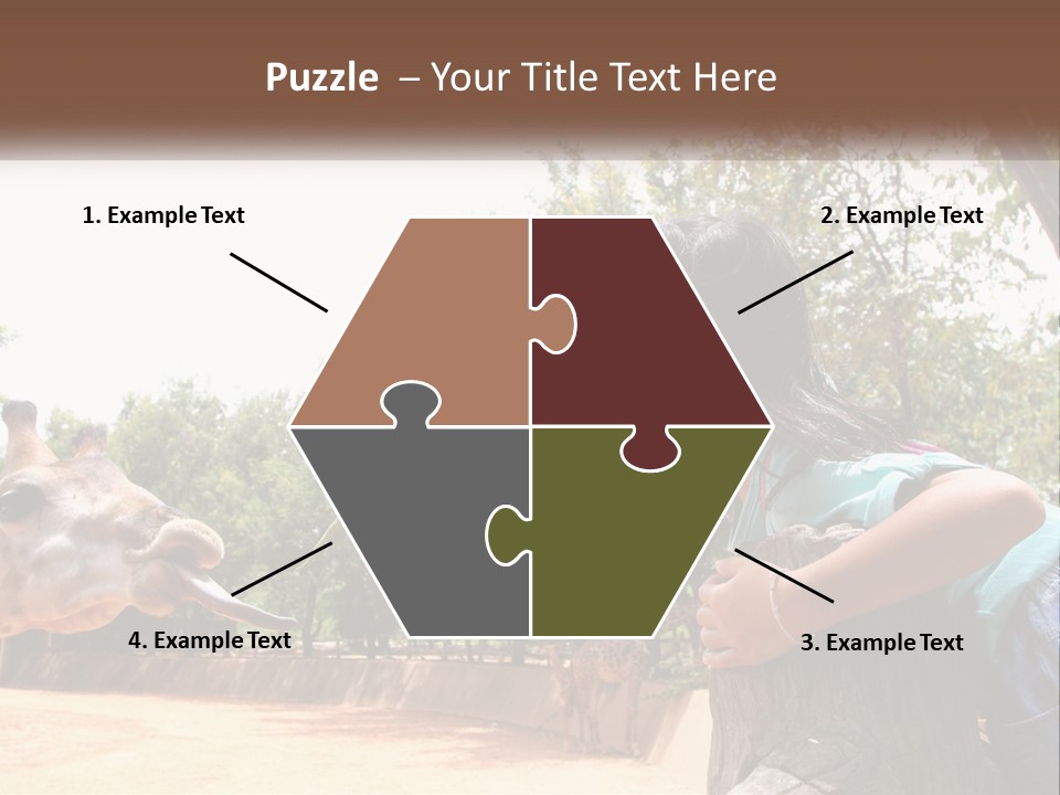 Girl Feeding A Giraffe PowerPoint Template