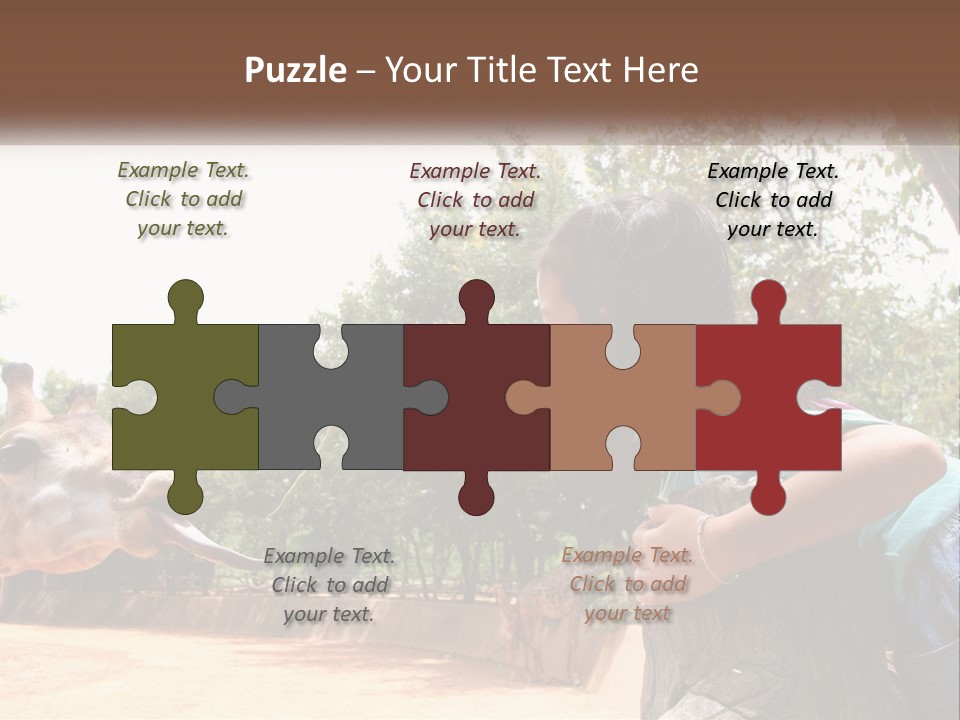 Girl Feeding A Giraffe PowerPoint Template