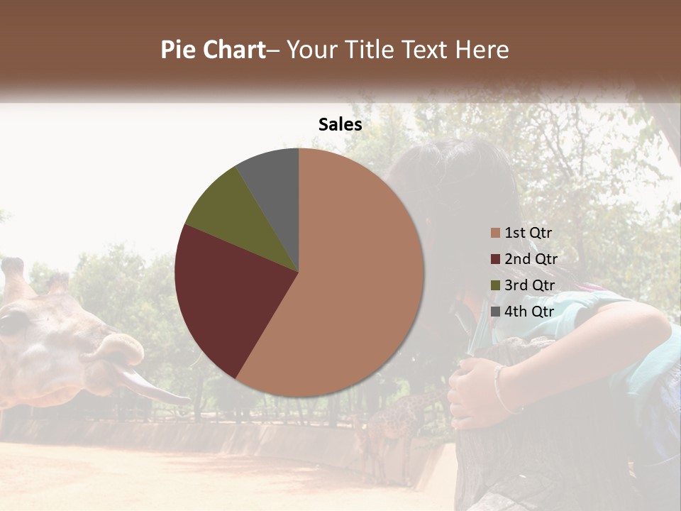 Girl Feeding A Giraffe PowerPoint Template