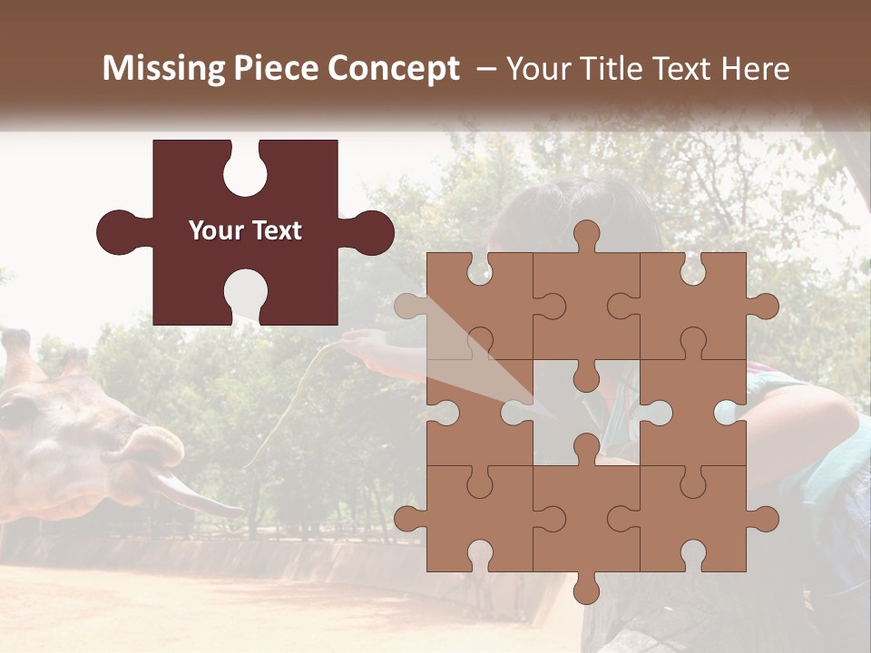 Girl Feeding A Giraffe PowerPoint Template