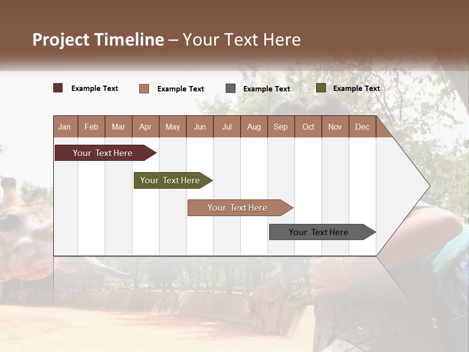 Girl Feeding A Giraffe PowerPoint Template