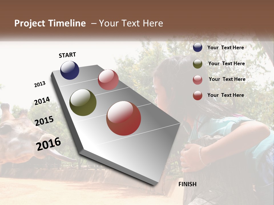 Girl Feeding A Giraffe PowerPoint Template