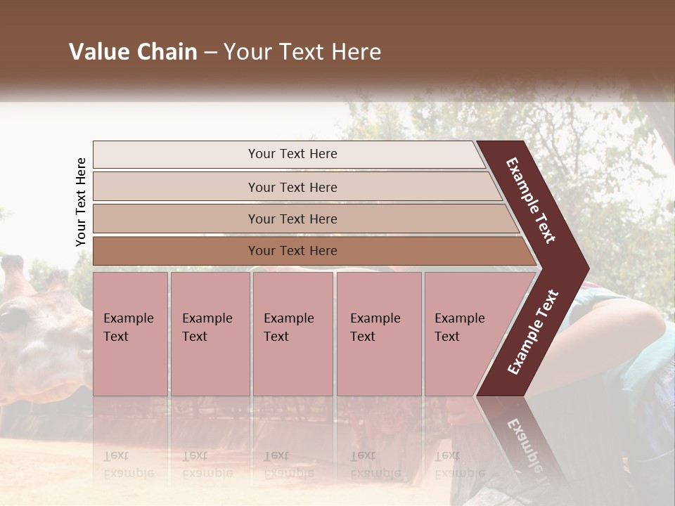 Girl Feeding A Giraffe PowerPoint Template