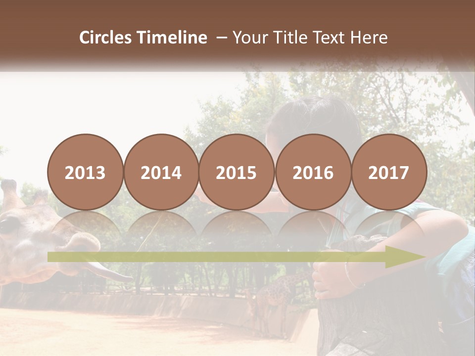 Girl Feeding A Giraffe PowerPoint Template