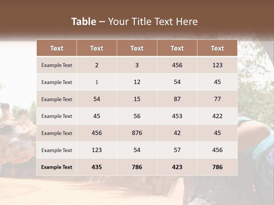 Girl Feeding A Giraffe PowerPoint Template