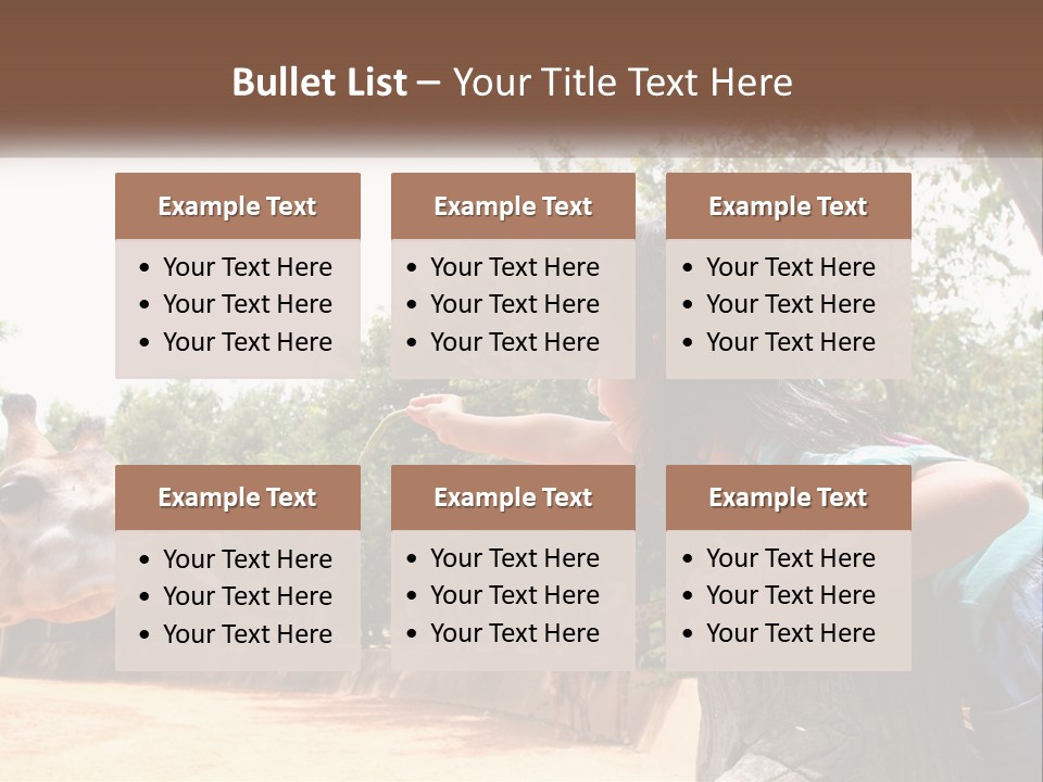 Girl Feeding A Giraffe PowerPoint Template