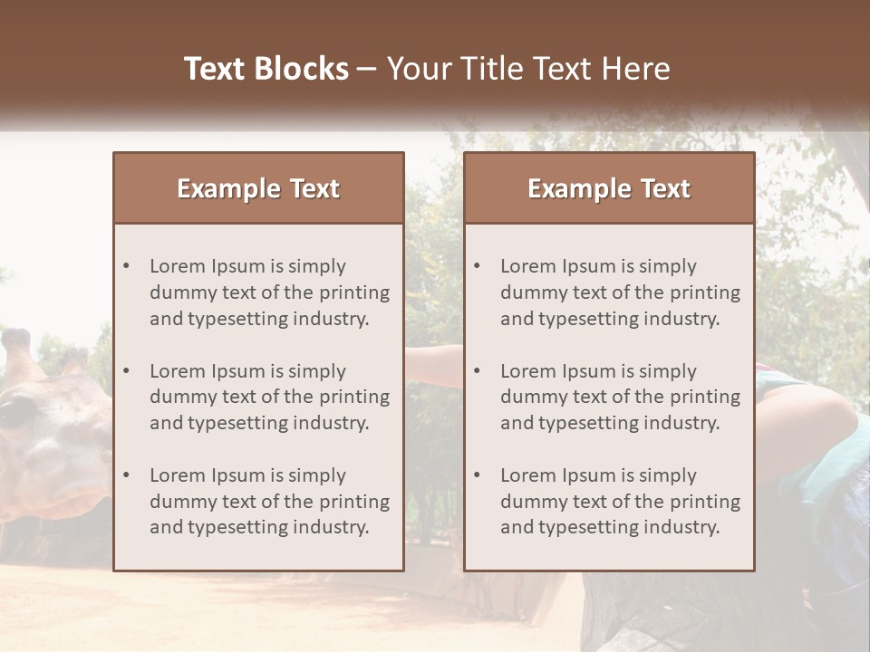 Girl Feeding A Giraffe PowerPoint Template