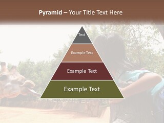 Girl Feeding A Giraffe PowerPoint Template