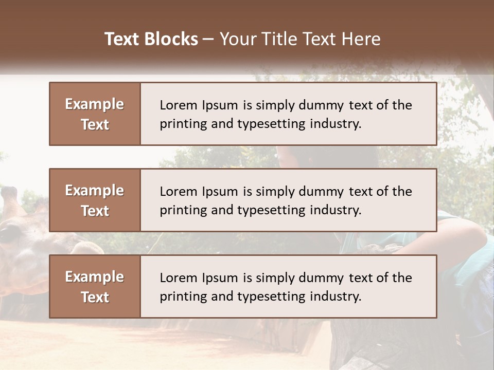 Girl Feeding A Giraffe PowerPoint Template