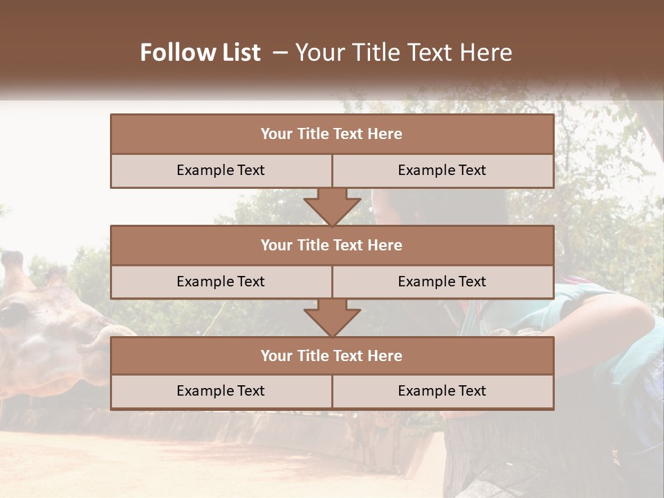 Girl Feeding A Giraffe PowerPoint Template