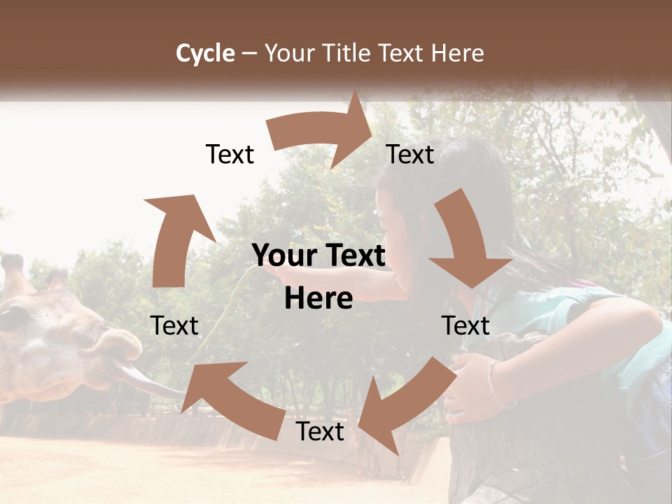 Girl Feeding A Giraffe PowerPoint Template