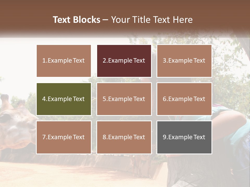 Girl Feeding A Giraffe PowerPoint Template