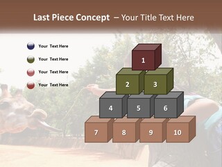 Girl Feeding A Giraffe PowerPoint Template