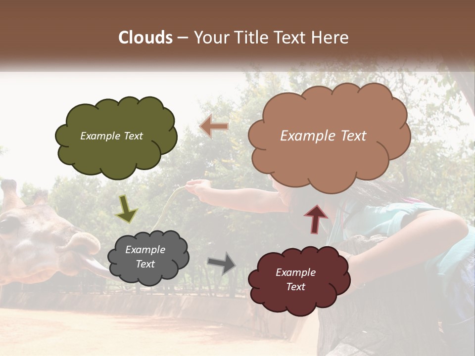 Girl Feeding A Giraffe PowerPoint Template