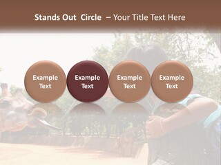 Girl Feeding A Giraffe PowerPoint Template