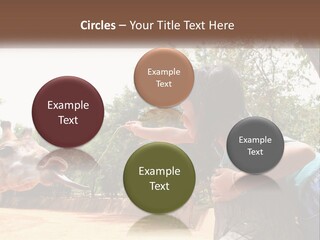 Girl Feeding A Giraffe PowerPoint Template