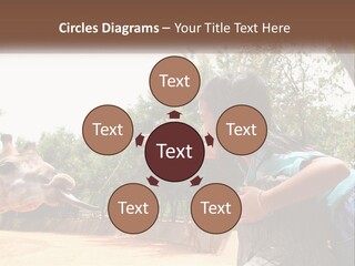 Girl Feeding A Giraffe PowerPoint Template
